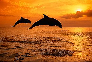 《嘣境回收战》6月1日steam发售 战斗养成策略收集新游